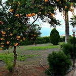 Kaos Ayia Napa