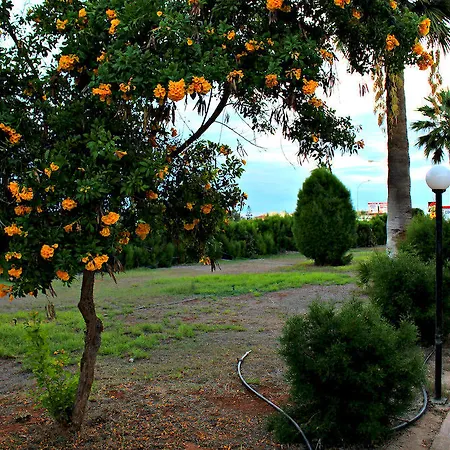 Kaos Agia Napa